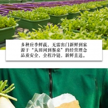 北京新鲜蔬菜「季卡12次」北京地区配送