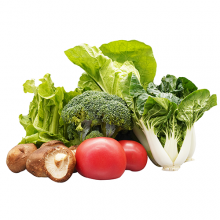 特菜C礼盒/绿色蔬菜/蔬菜基地直供